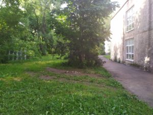 IMG_20190523_083945
