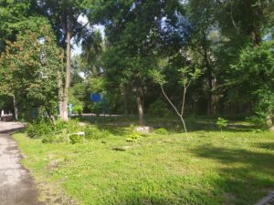 IMG_20190523_084007