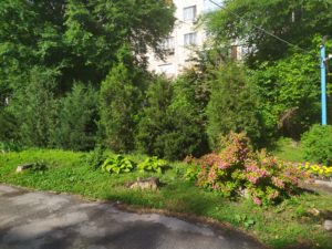 IMG_20190523_084123
