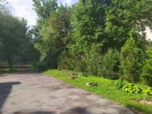 IMG_20190523_084128