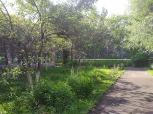IMG_20190523_084150